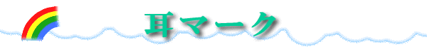 }[N